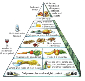 Food pyramid