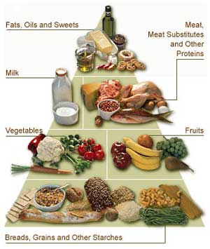 Welcome to Diabetic Weight Loss Diet